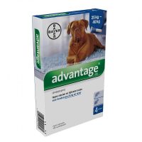 Advantage for Dogs (>25kg) 4 pippetes
